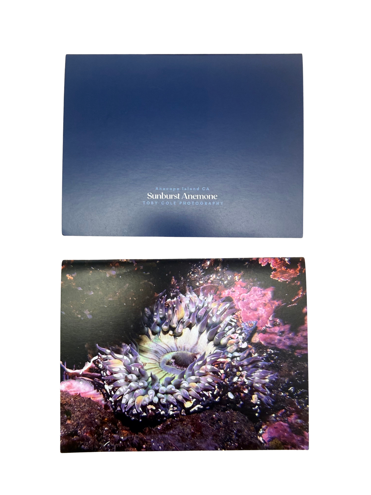 Underwater Photography Card