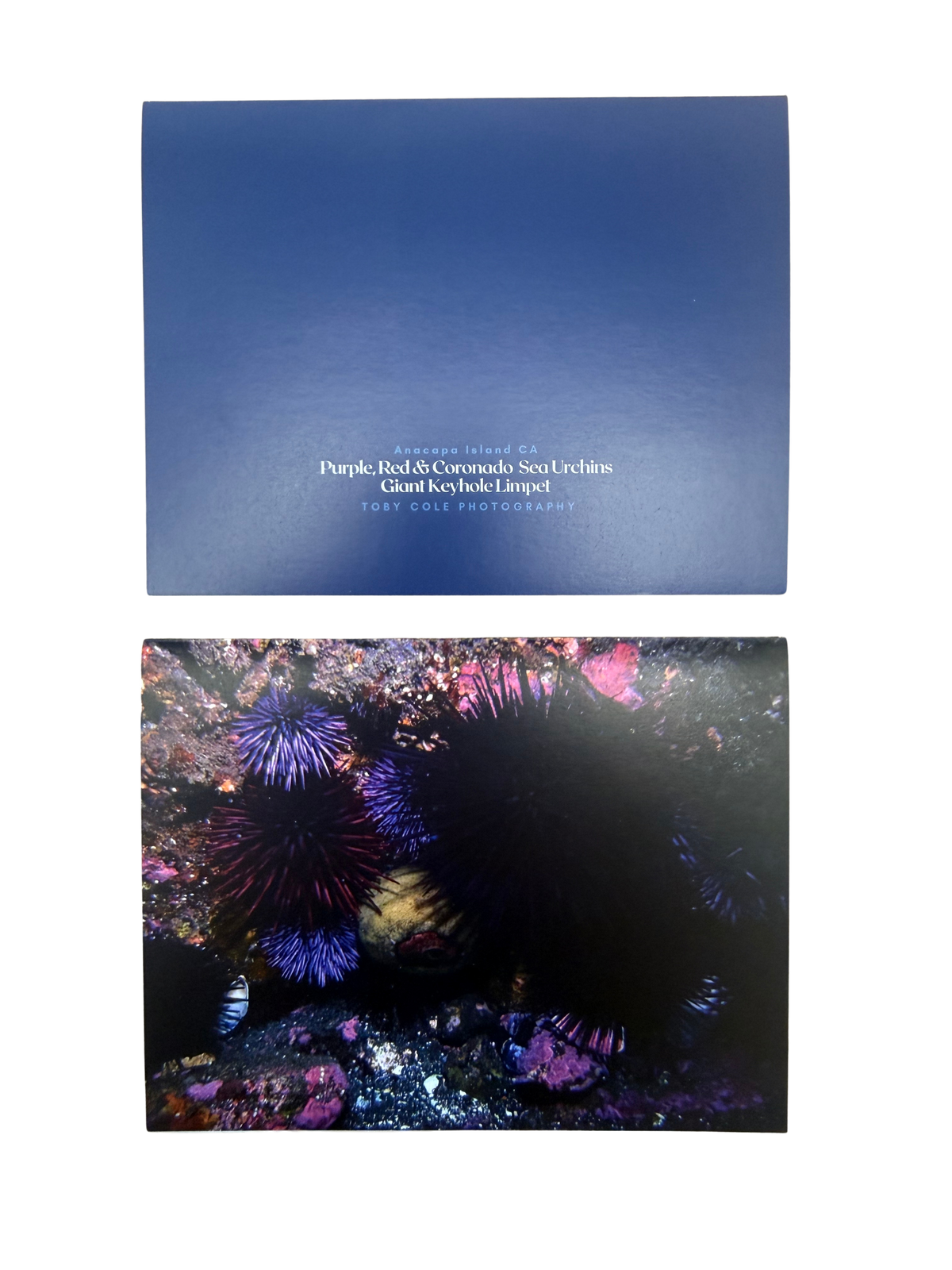 Underwater Photography Card