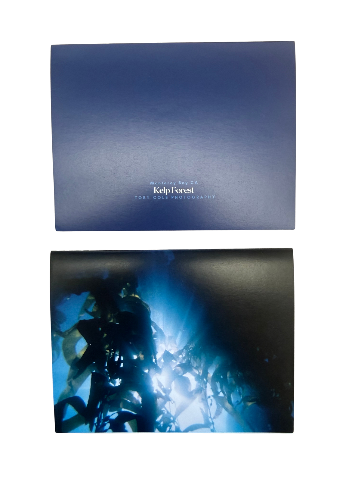 Underwater Photography Card