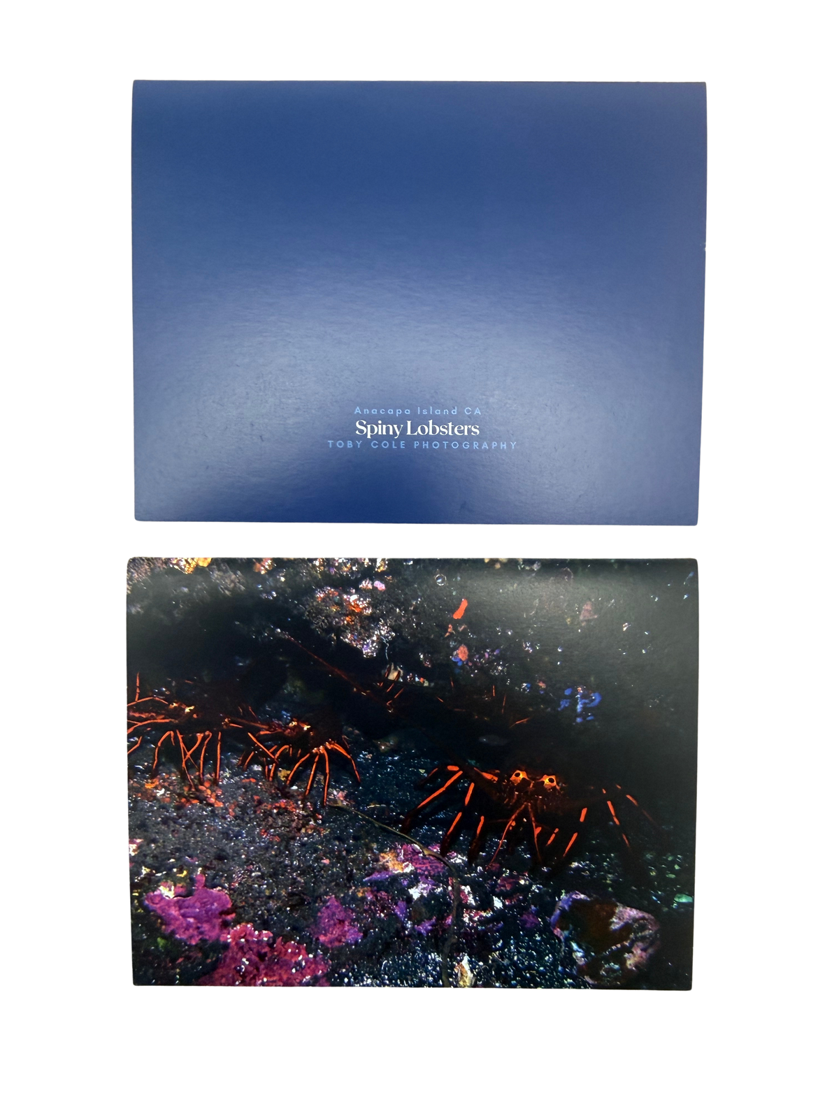 Underwater Photography Card