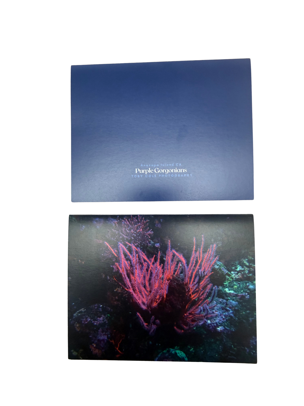 Underwater Photography Card
