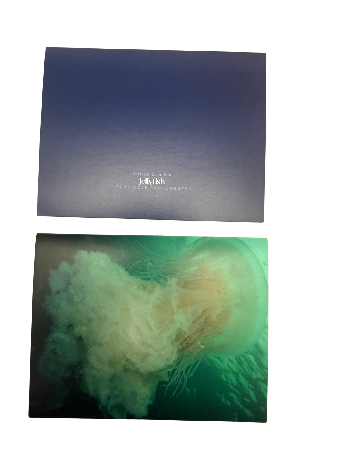 Underwater Photography Card