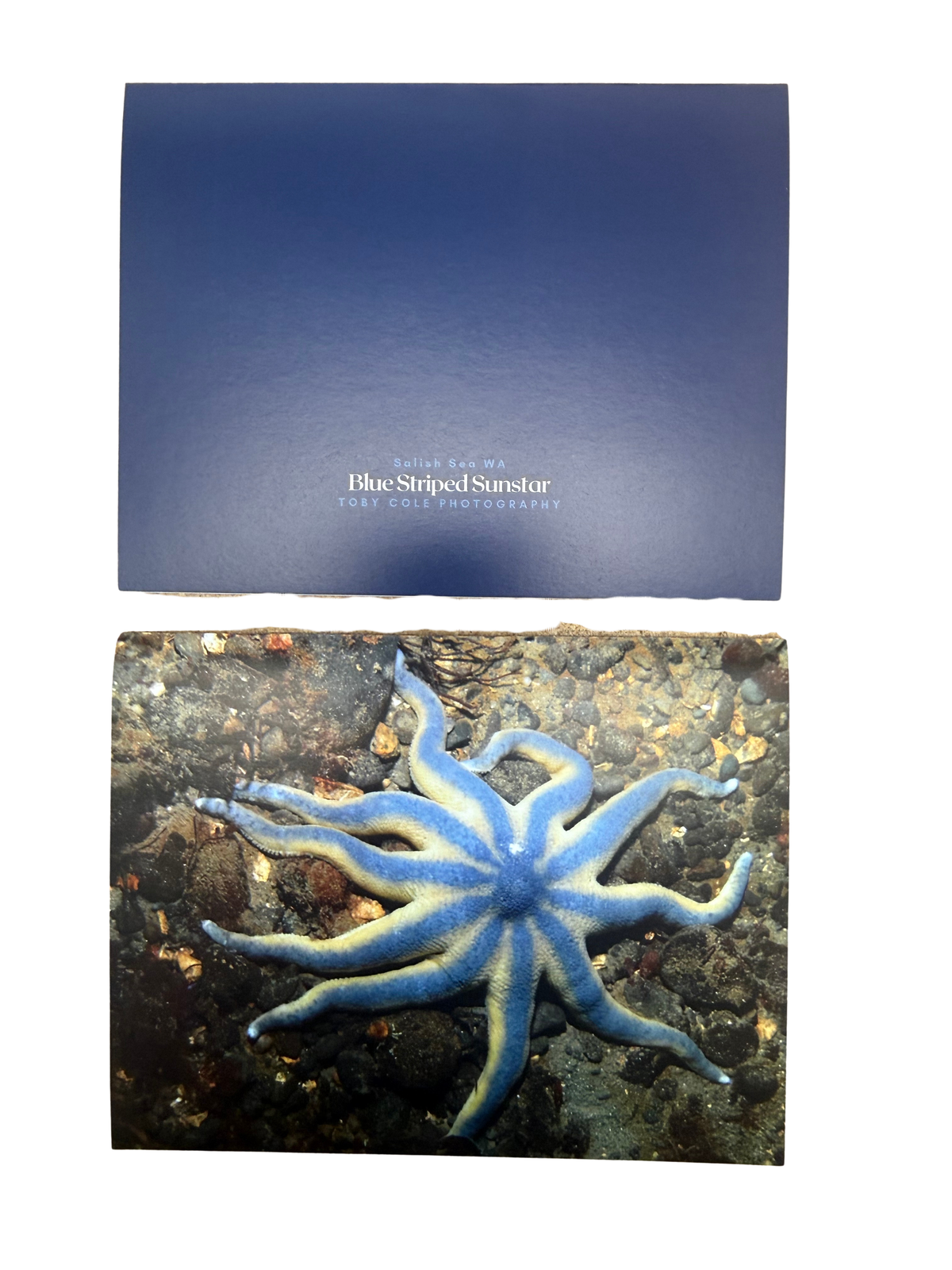 Underwater Photography Card