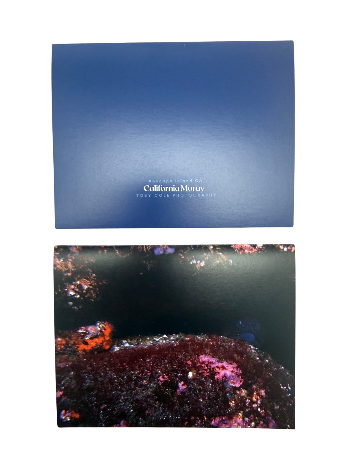 Underwater Photography Card
