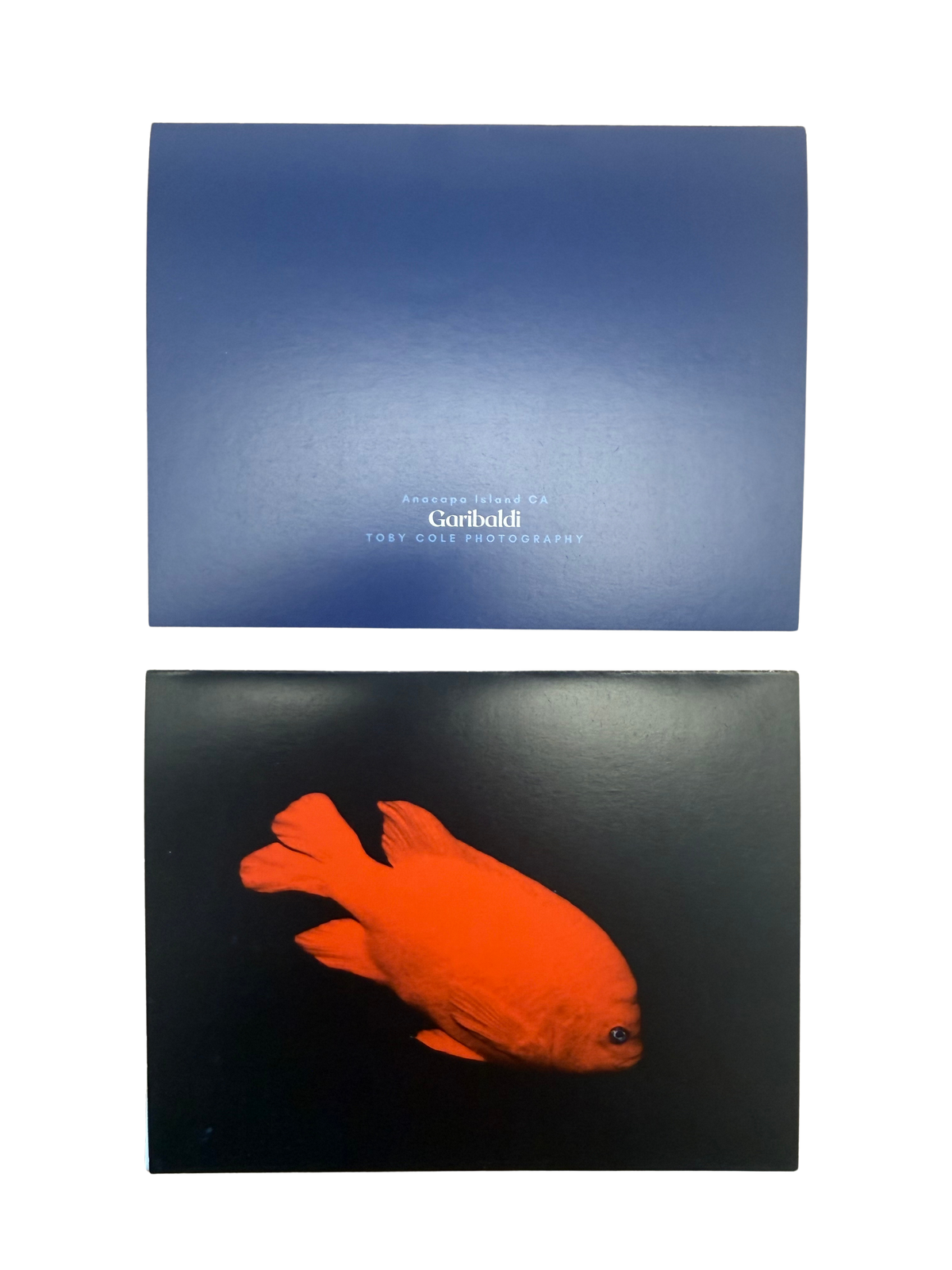 Underwater Photography Card