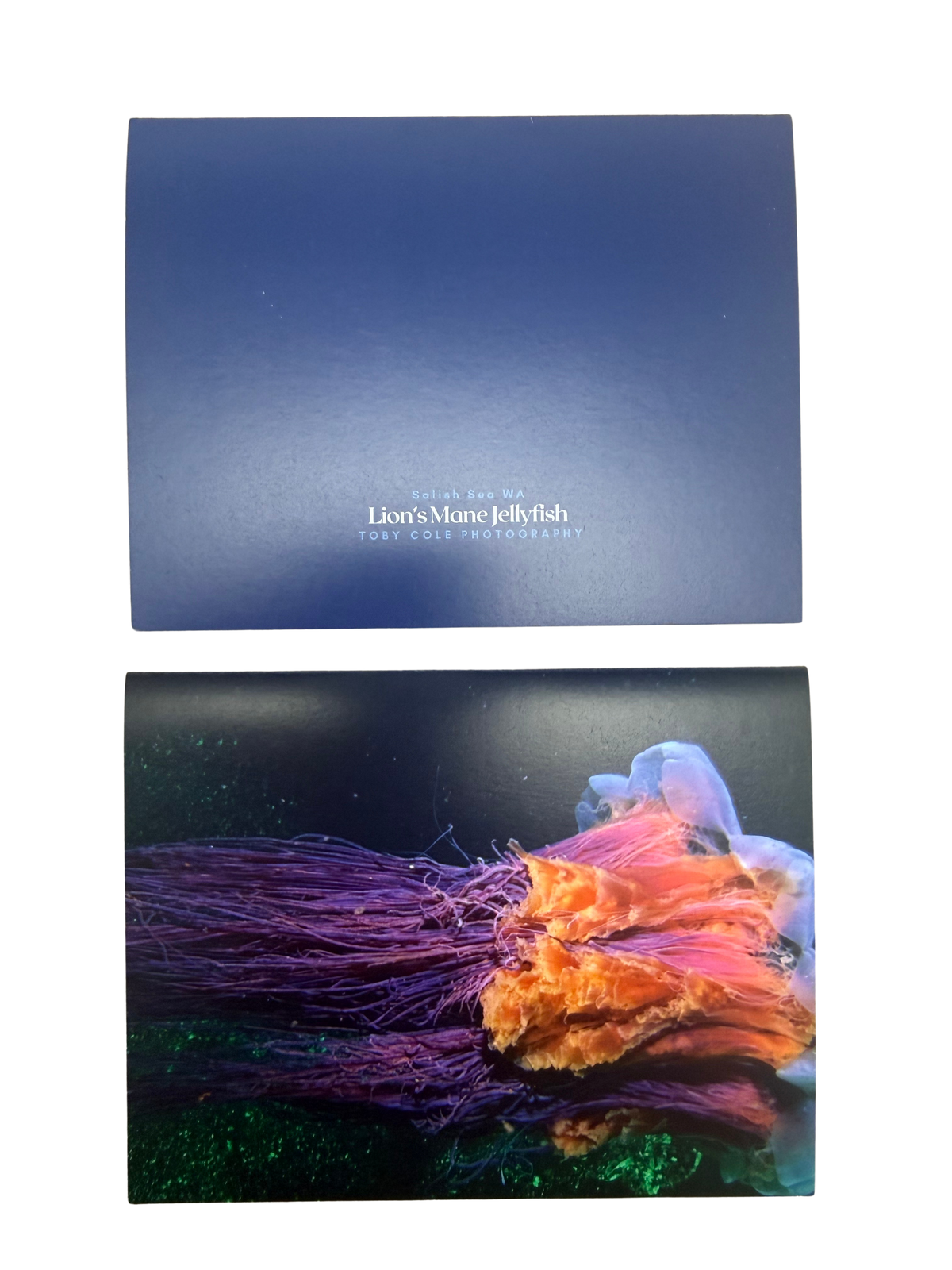 Underwater Photography Card