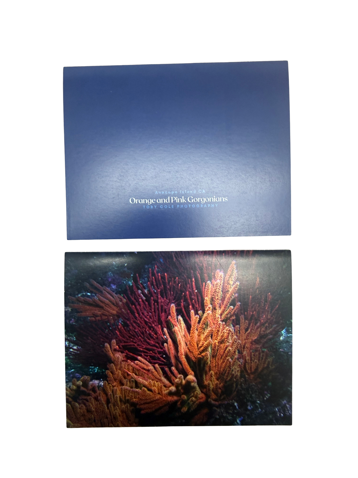 Underwater Photography Card