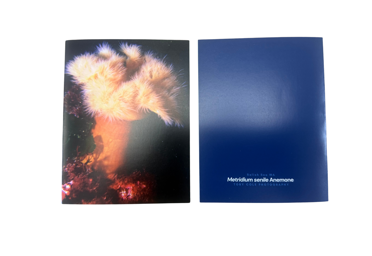 Underwater Photography Card