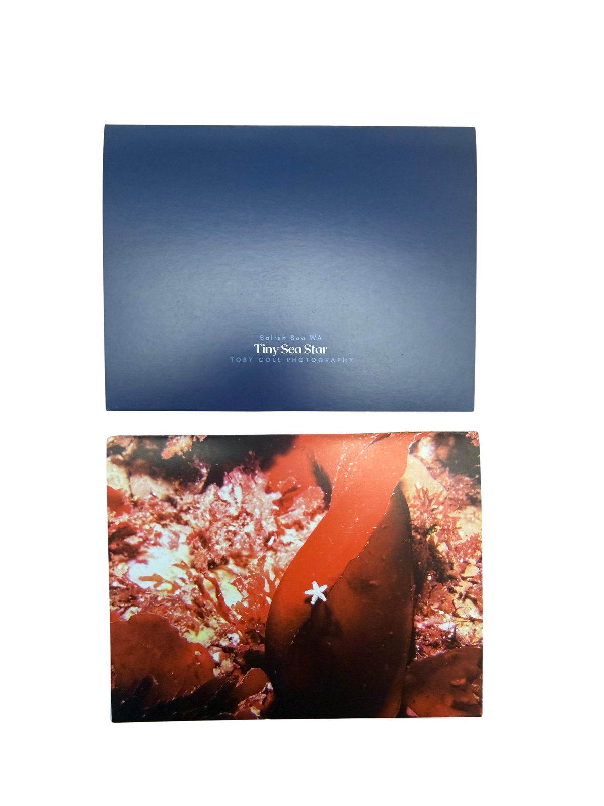 Underwater Photography Card