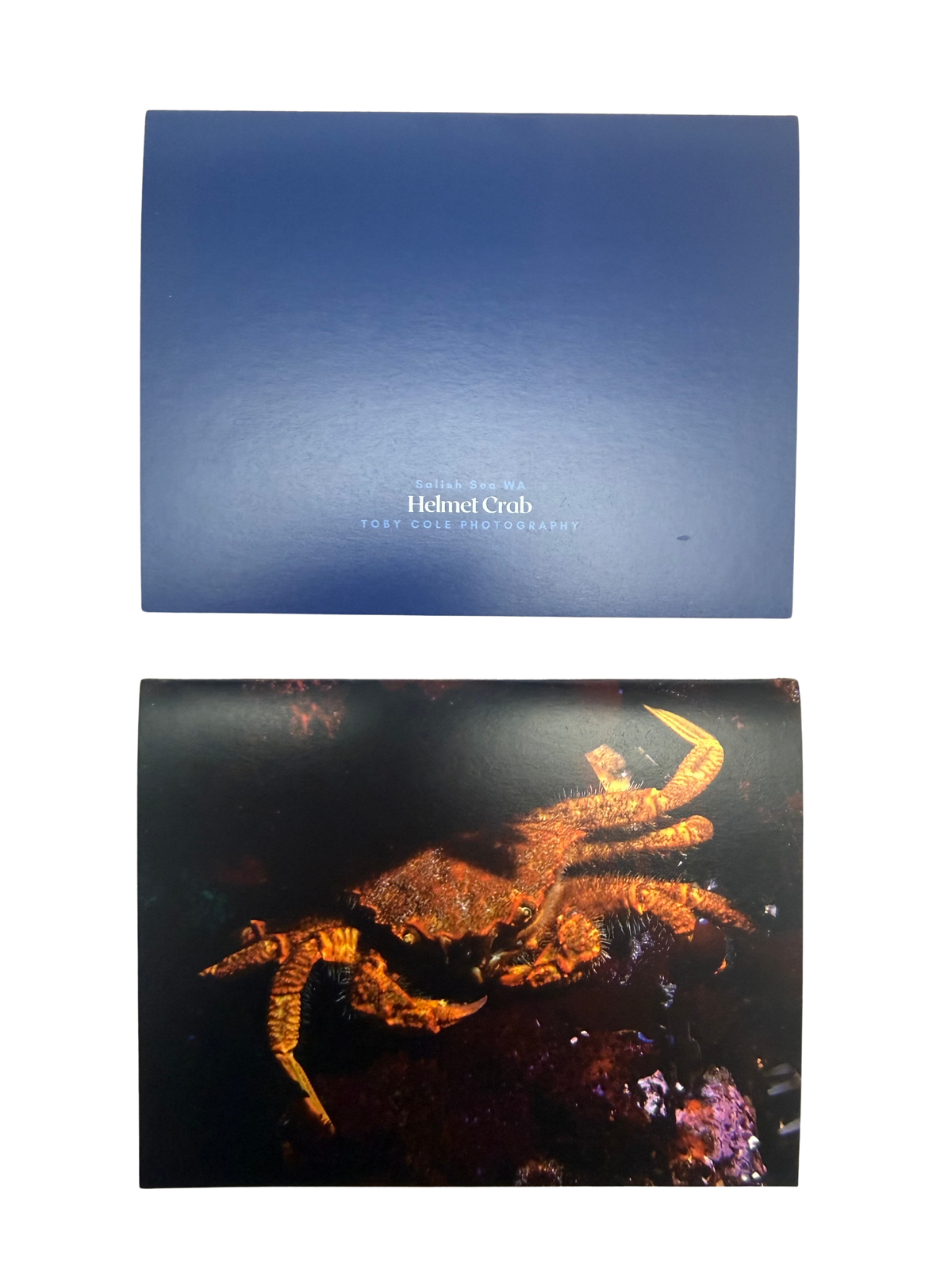 Underwater Photography Card