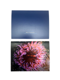 Underwater Photography Card